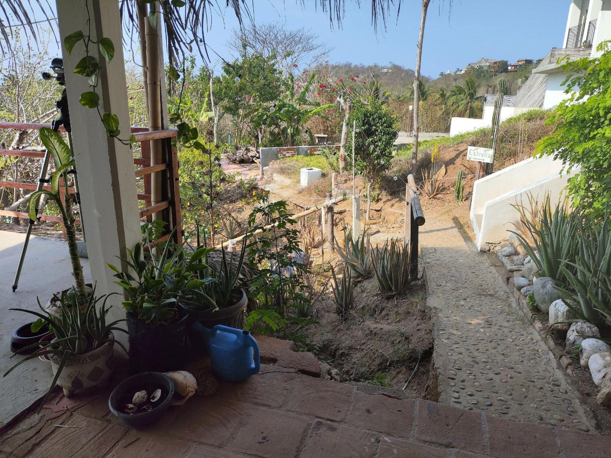Mixtli Ecohouse, Habitaciones Sol & Luna - Starlink Internet San Pedro Pochutla 외부 사진